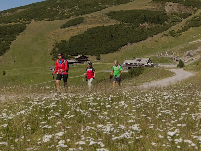 Drei Wanderer mit Stöcken auf blühender Almwiese, sonnige Berglandschaft mit Hütte